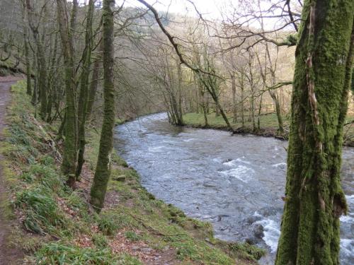 Marsh-Bridge-to-Castle-Bridge-March-2015-35