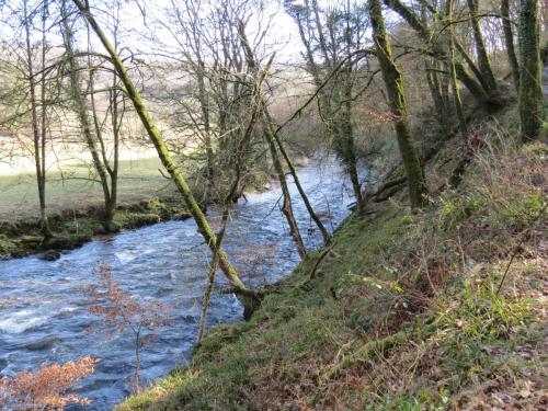 Marsh-Bridge-to-Castle-Bridge-March-2015-8