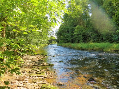 New-Bridge-to-Beasley-Weir-10