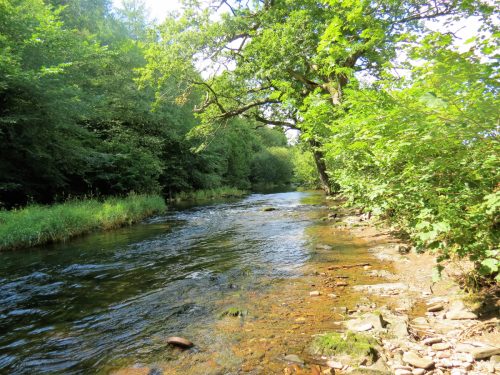 New-Bridge-to-Beasley-Weir-12