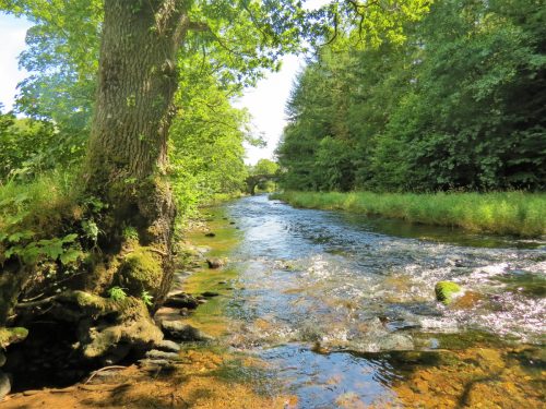 New-Bridge-to-Beasley-Weir-13