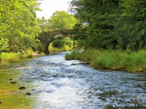 New-Bridge-to-Beasley-Weir-14