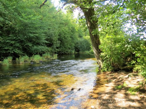 New-Bridge-to-Beasley-Weir-15