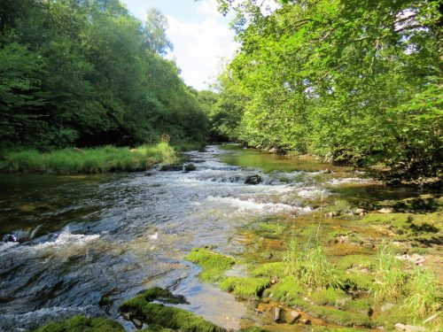 New-Bridge-to-Beasley-Weir-17