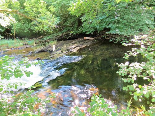 New-Bridge-to-Beasley-Weir-18
