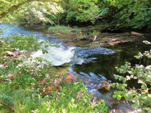 New-Bridge-to-Beasley-Weir-19