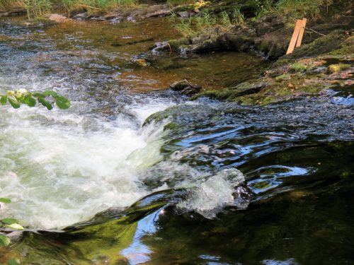 New-Bridge-to-Beasley-Weir-20