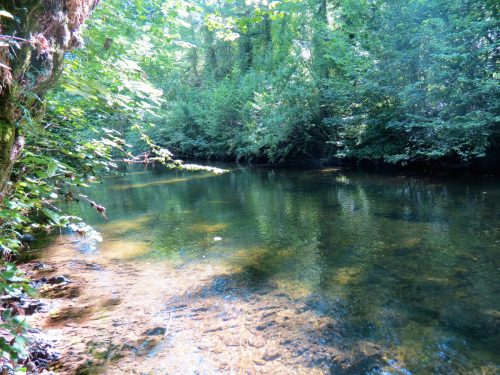New-Bridge-to-Beasley-Weir-21