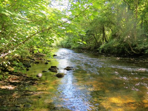New-Bridge-to-Beasley-Weir-22
