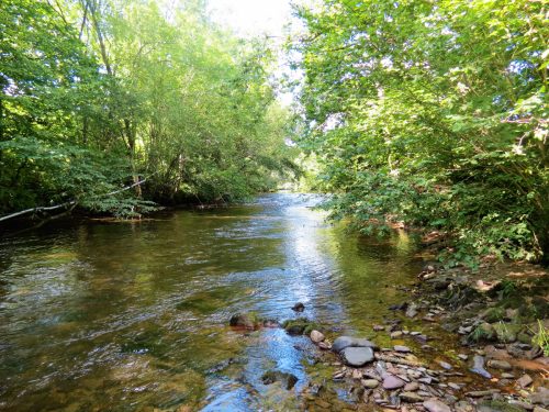 New-Bridge-to-Beasley-Weir-23
