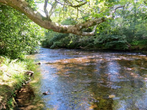 New-Bridge-to-Beasley-Weir-24