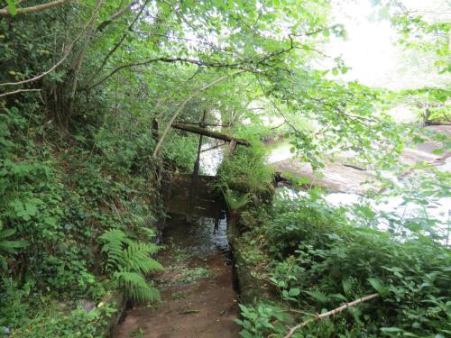 Old-Saw-Mill-Weir-and-Leat-1