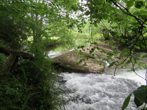 Old-Saw-Mill-Weir-and-Leat-2