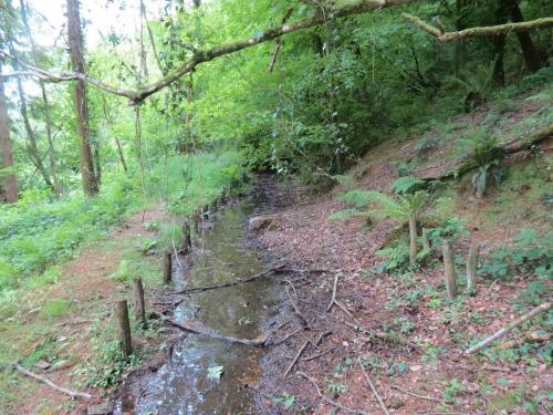 Old-Saw-Mill-Weir-and-Leat-29