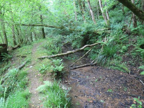 Old-Saw-Mill-Weir-and-Leat-32