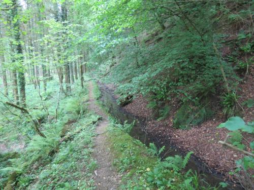 Old-Saw-Mill-Weir-and-Leat-34