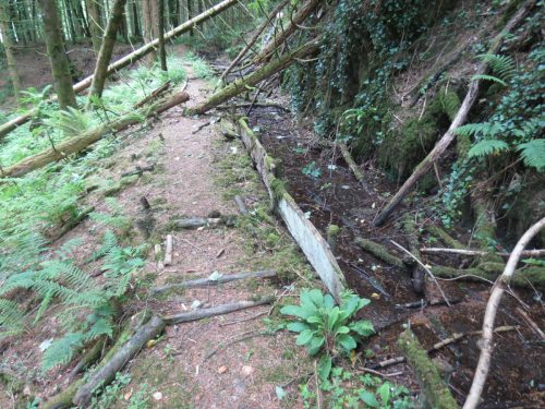 Old-Saw-Mill-Weir-and-Leat-39