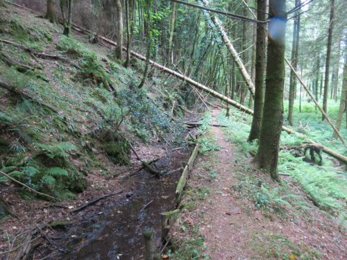 Old-Saw-Mill-Weir-and-Leat-42