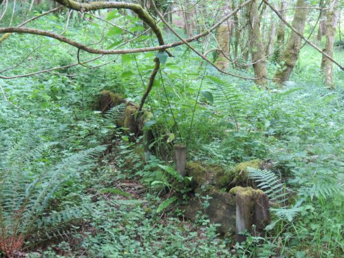 Old-Saw-Mill-Weir-and-Leat-48