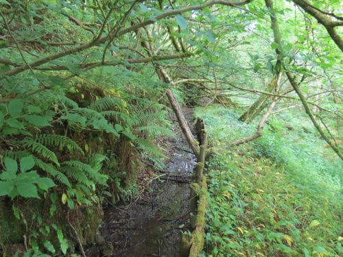 Old-Saw-Mill-Weir-and-Leat-54