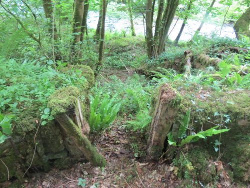 Old-Saw-Mill-Weir-and-Leat-62