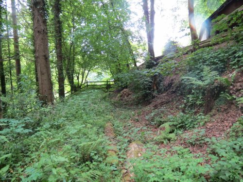 Old-Saw-Mill-Weir-and-Leat-64