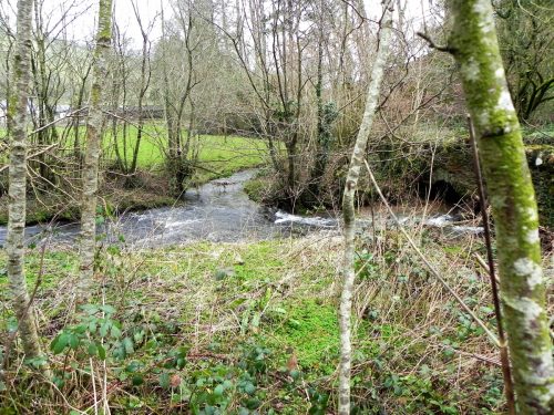 Raddington-Tributary-1