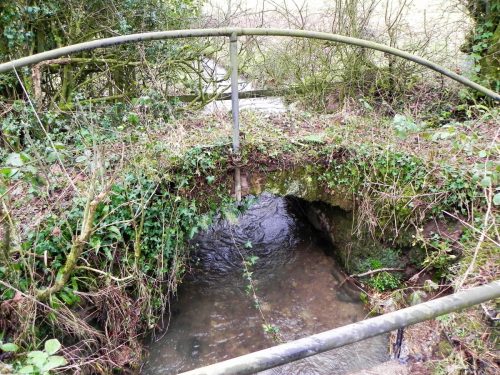 Raddington-Tributary-11