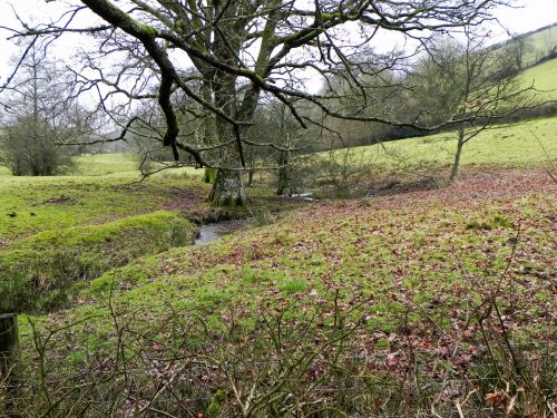 Raddington-Tributary-12