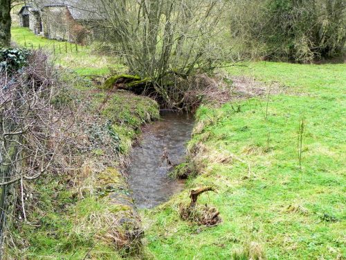 Raddington-Tributary-13