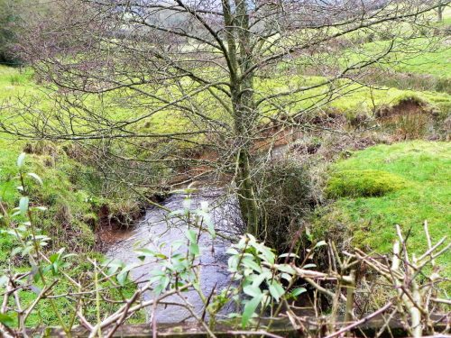 Raddington-Tributary-14