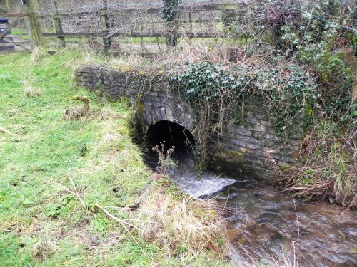 Raddington-Tributary-15
