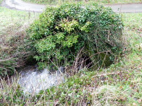 Raddington-Tributary-16