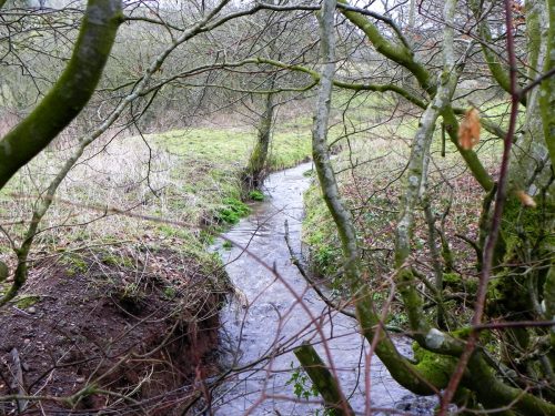 Raddington-Tributary-18