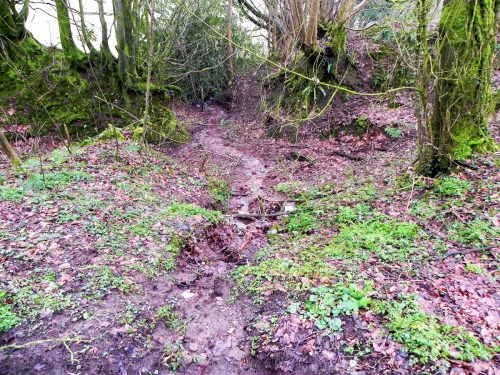 Raddington-Tributary-19