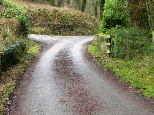 Raddington-Tributary-2