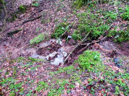 Raddington-Tributary-20