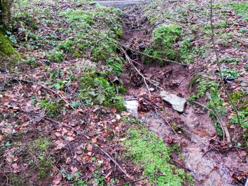 Raddington-Tributary-21
