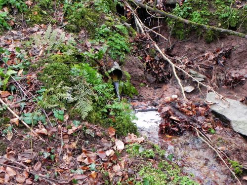 Raddington-Tributary-22