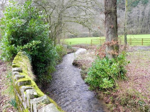 Raddington-Tributary-3