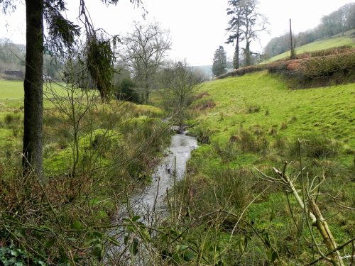 Raddington-Tributary-4