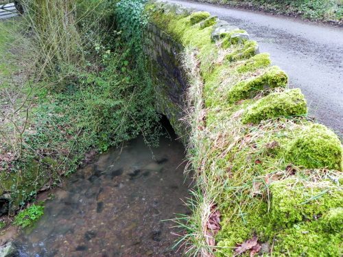 Raddington-Tributary-5