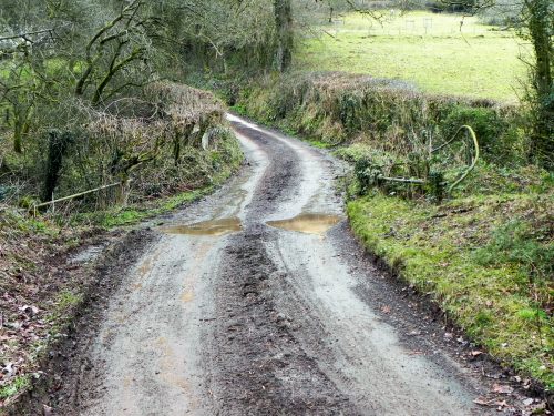 Raddington-Tributary-7