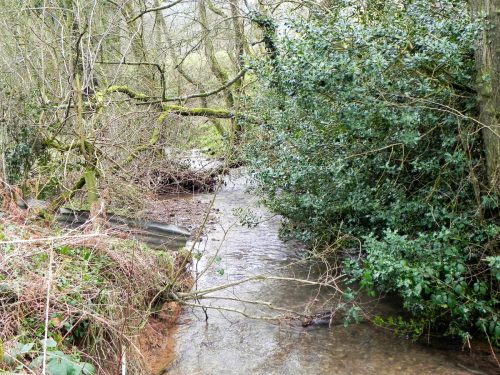 Raddington-Tributary-8