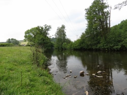 Reflections-River-Barle-2