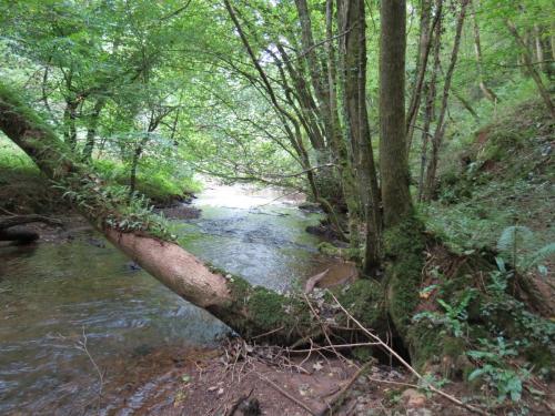 Upstream-from-Tucks-Bridge-1