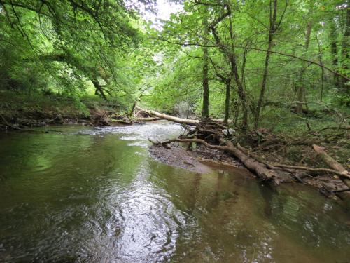 Upstream-from-Tucks-Bridge-7