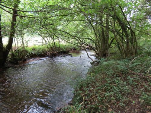 Upstream-from-Tucks-Bridge-9