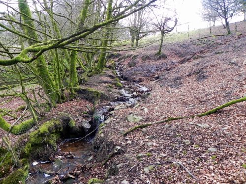 Venford-Water-32