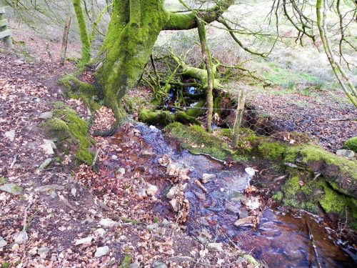Venford-Water-33